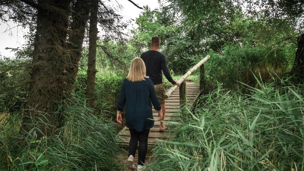 Marbæk Plantage | Ein kurzer Spaziergang durch das Dickicht
