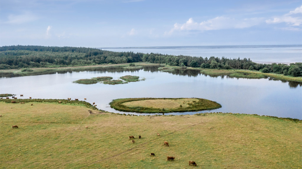 Marbæk Plantage | Blick auf See und Meer