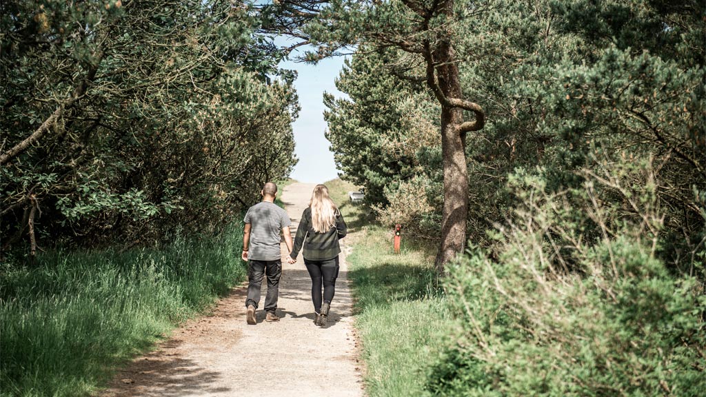 Path towards Kikkebjerg | By the Wadden Sea