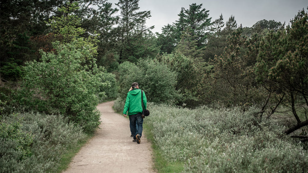 On the way to Pælebjerg on Fanø