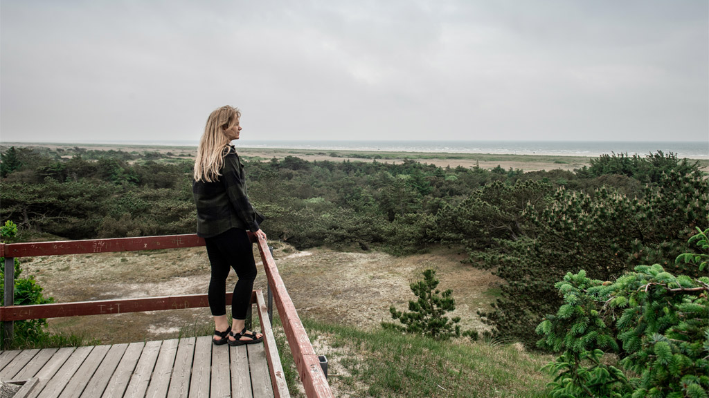 View from the top of Pælebjerg on Fanø