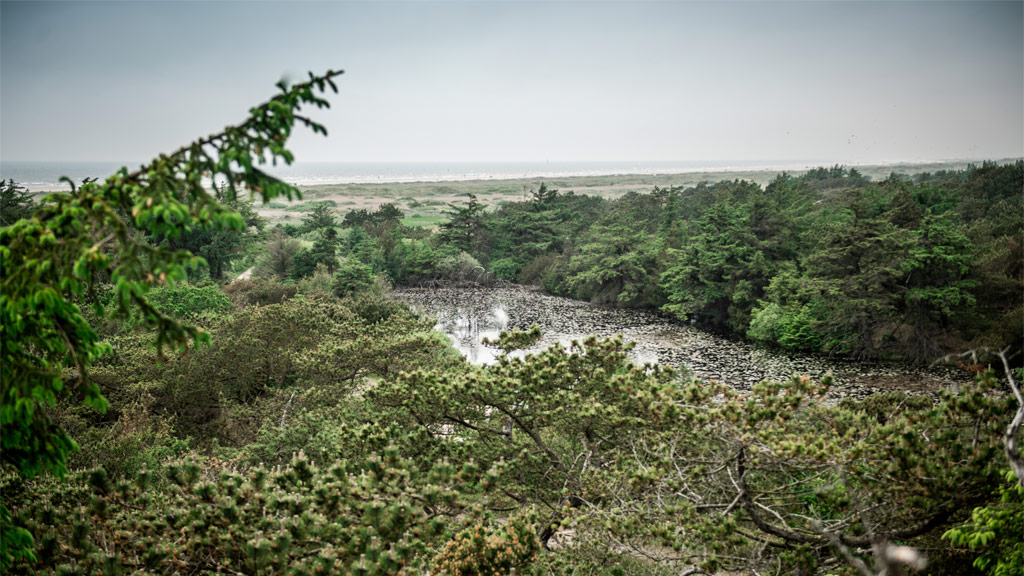 The lake at Pælebjerg on Fanø