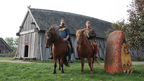 The Vikings' horses at Ribe VikingeCenter | The Wadden Sea coast