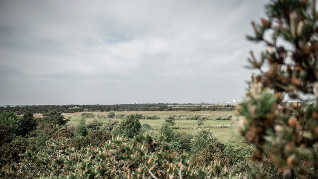 View from Klingebjerg on Fanø | By the Wadden Sea