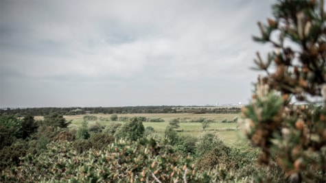 Klingebjerg på Fanø
