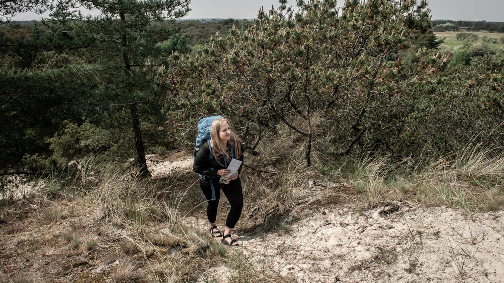 Klingebjerg på Fanø