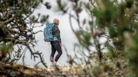 Klingebjerg på Fanø