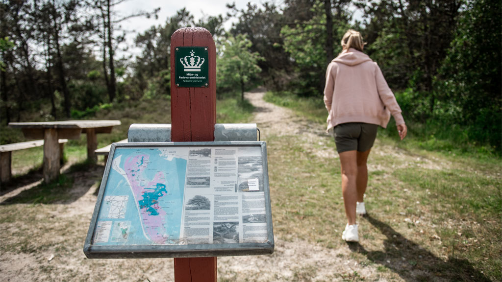 Sign on the way to Annedalsbjerg on Fanø | By the Wadden Sea