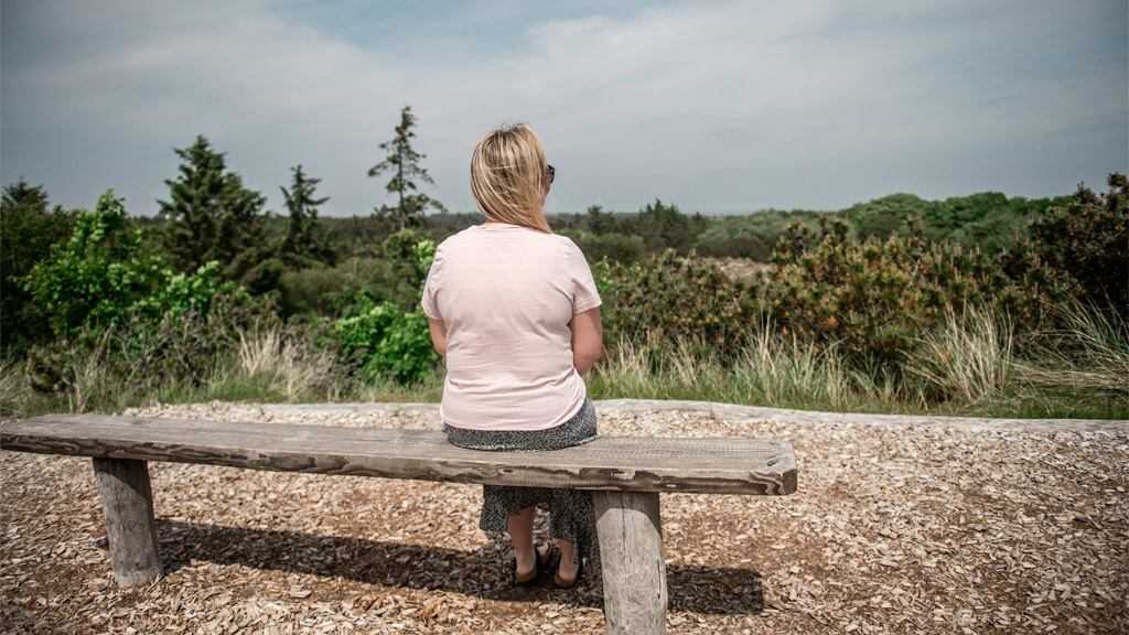 Bench on top of Annedalsbjerg on Fanø | By the Wadden Sea