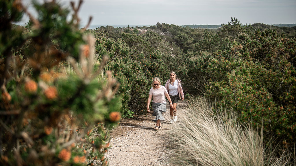 On the way to the top of Annedalsbjerg on Fanø | By the Wadden Sea