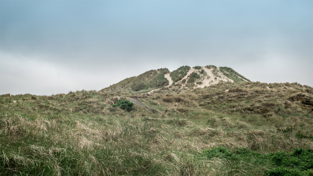 Mosedalsbjerg on Fanø | By the Wadden Sea