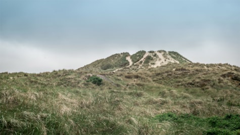 Mosedalsbjerg på Fanø
