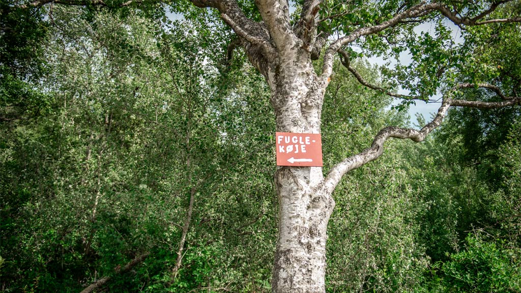 Holz mit Schild am Albue Fuglekøje | Süddänische Nordsee