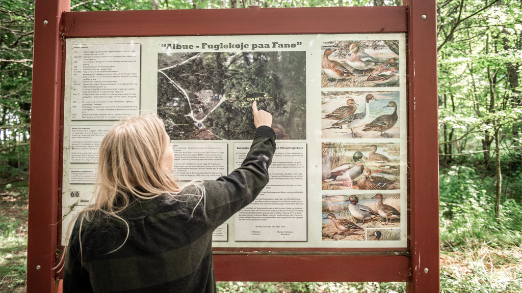 Schild am Albue Fuglekøje | Süddänische Nordsee