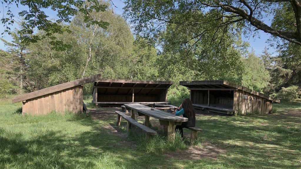 Annesdalbjerge shelterplads på Fanø