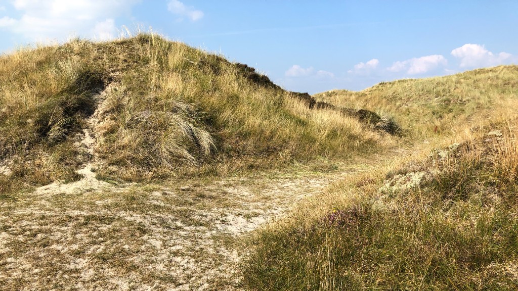 Premium Hiking Route: Fanø Dunes Plantation
