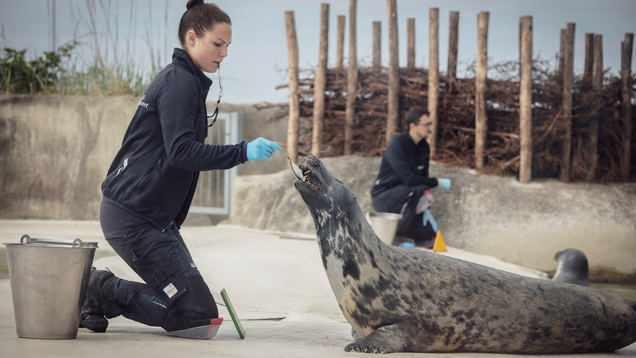 Summeractivities at The Fisheries and Martime Museum