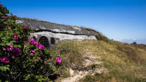 Bunkers, Nordspidsen Fanø