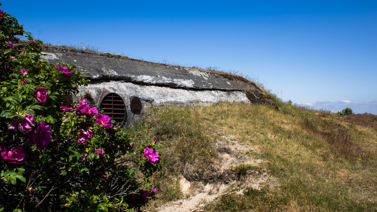Photo spot - Bunkers, The northern tip of Fanø