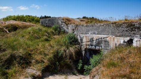 Bunkers, Nordspidsen Fanø