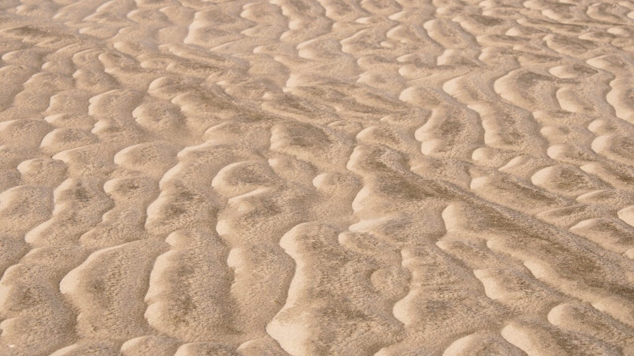 Photo spot - Søren Jessens Sand