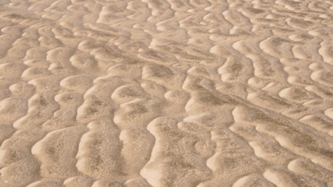 Søren Jessens Sand
