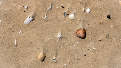 Søren Jessens Sand