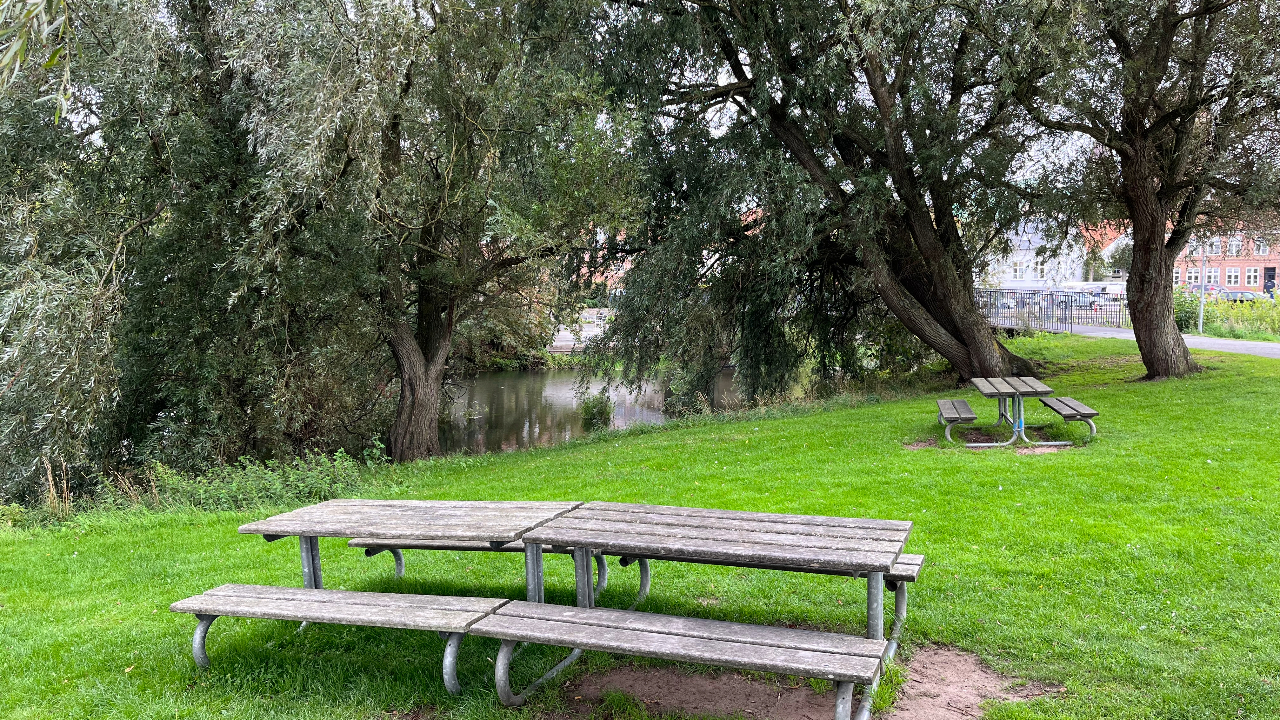 Hovedengen, Ribe