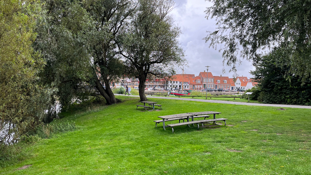 Hovedengen, Ribe