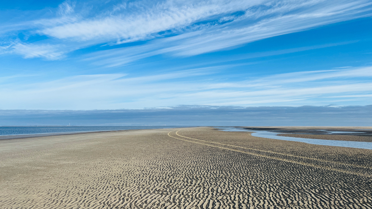 Koresand - sandbank at Mandø