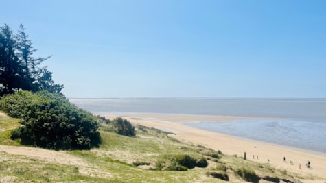 Gulebjerg, Marbæk