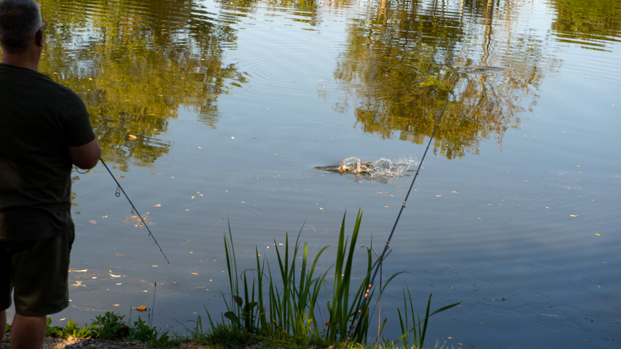 Storkesøen Ribe - Fishing- and Family park