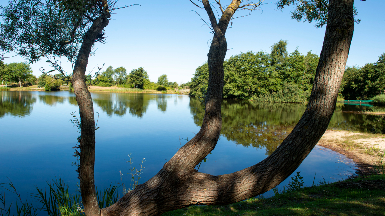 Storkesøen Ribe - Fishing- and Family park