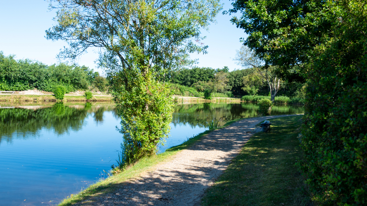 Storkesøen Ribe - Fishing- and Family park