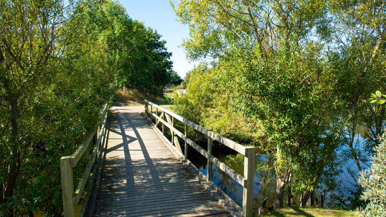 Storkesøen Ribe - Fishing- and Family park