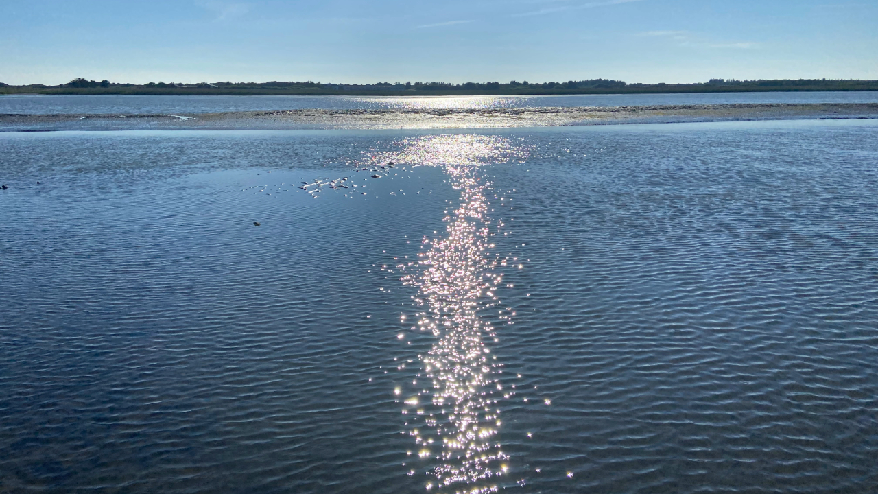 Boat trip with the tour boat Martha