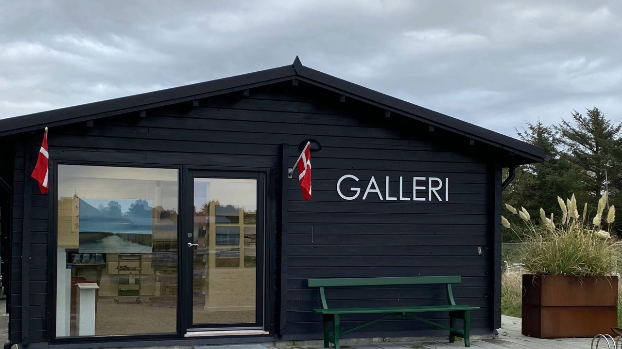 Galleri Tina Kolding_sønderho_fanø