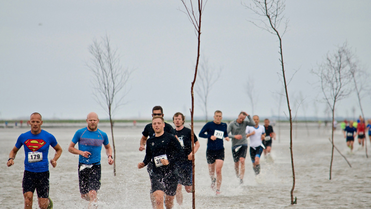 Havbundsløbet (The seabed run)