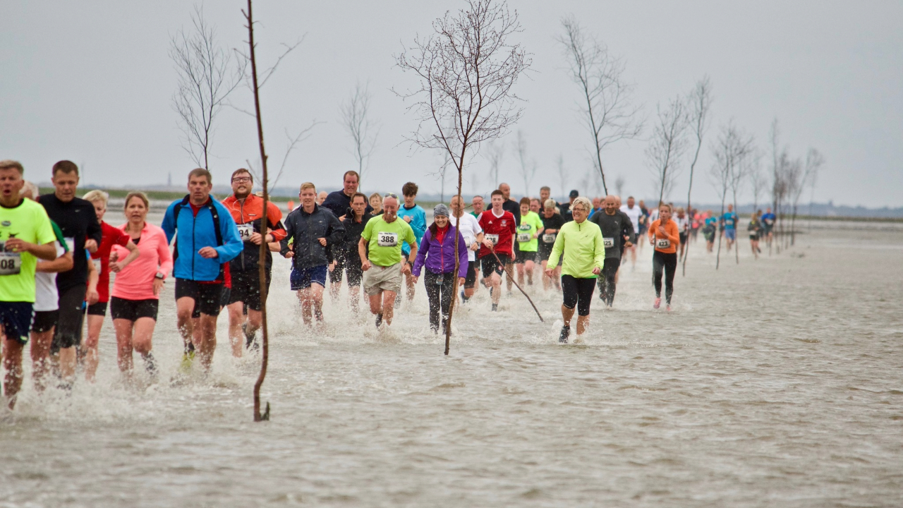 Havbundsløbet (The seabed run)