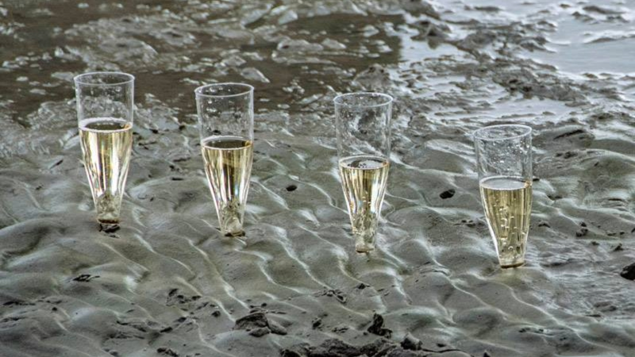 Oysters and champagne Mandø