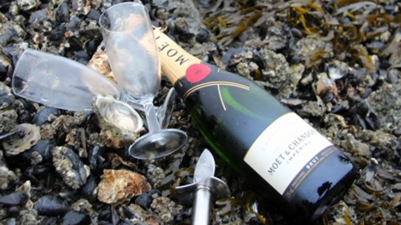 Østers og Champagne med Vadehavsguiderne
