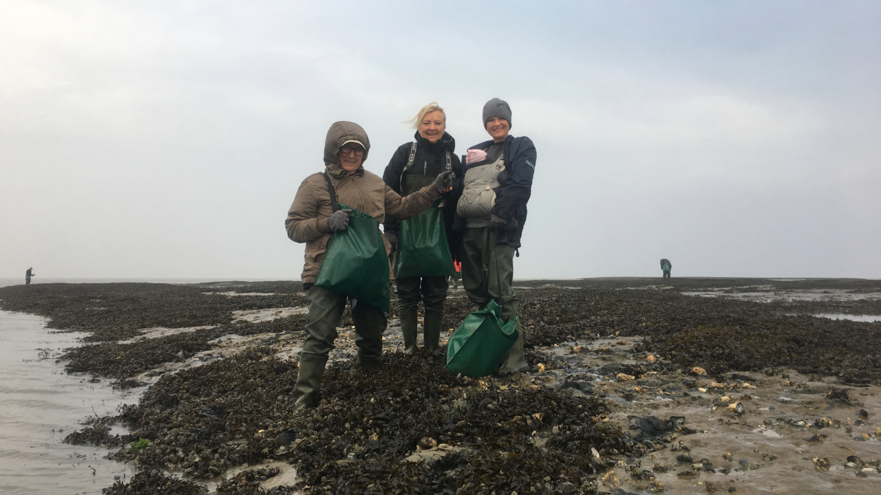 Oysters and champagne Mandø