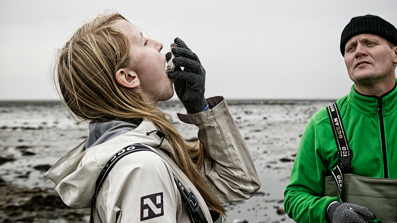 Oysters and champagne Mandø