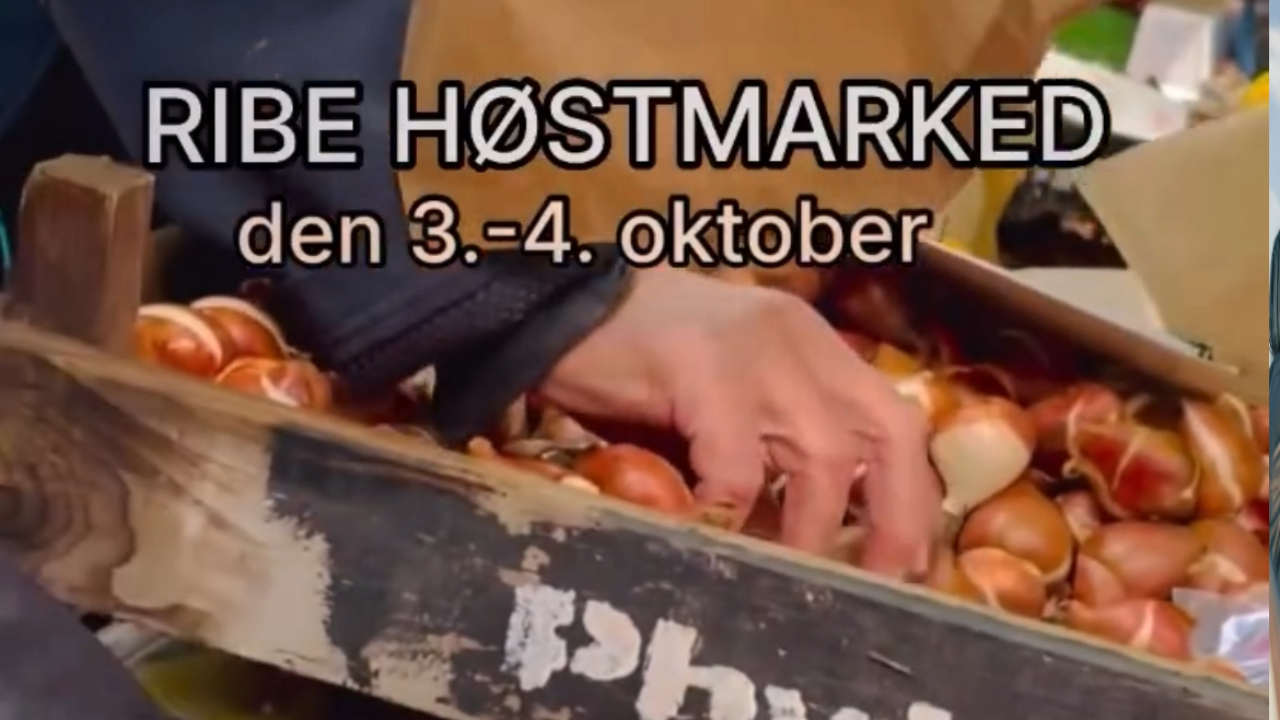 Herbstmarkt Ribe