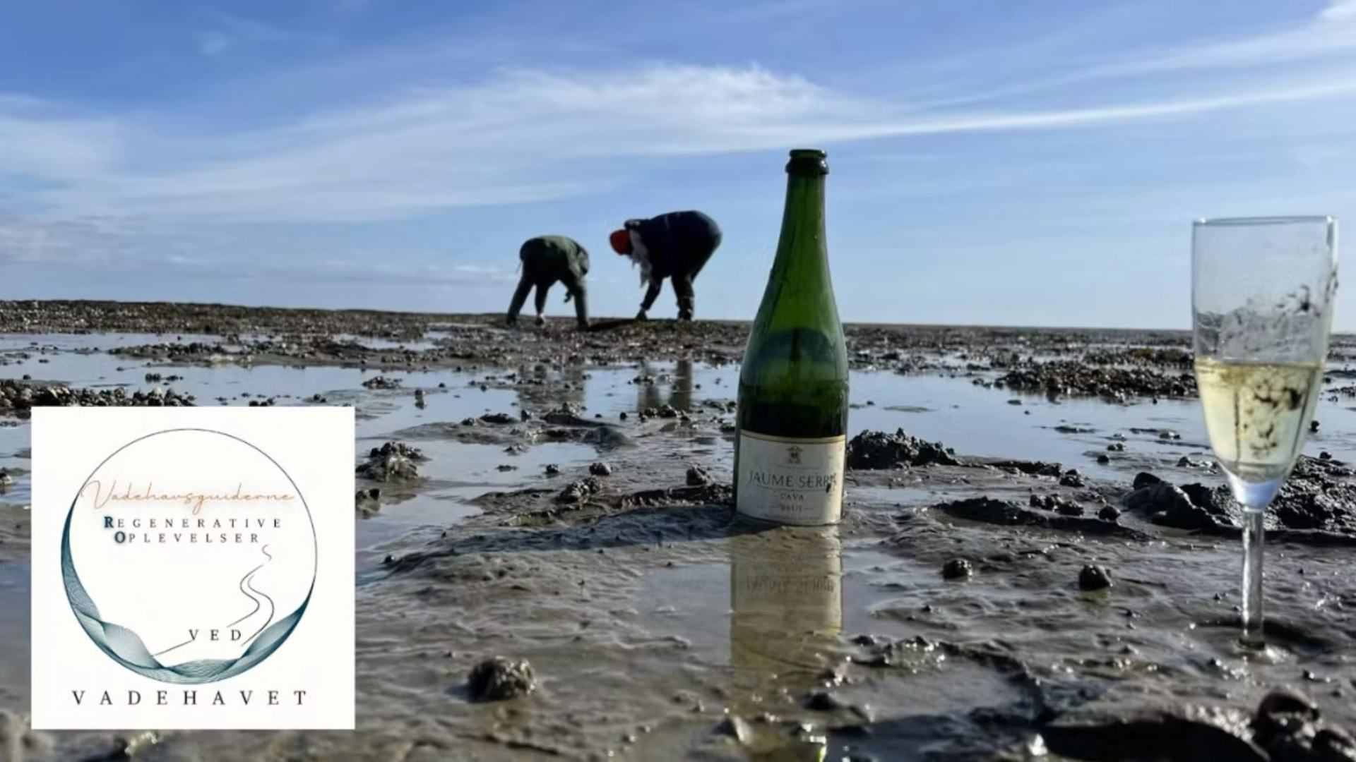 Austern, Champagne und Sauna Aufguss Wattenmeer