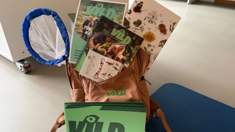 Esbjerg bibliotek for børn