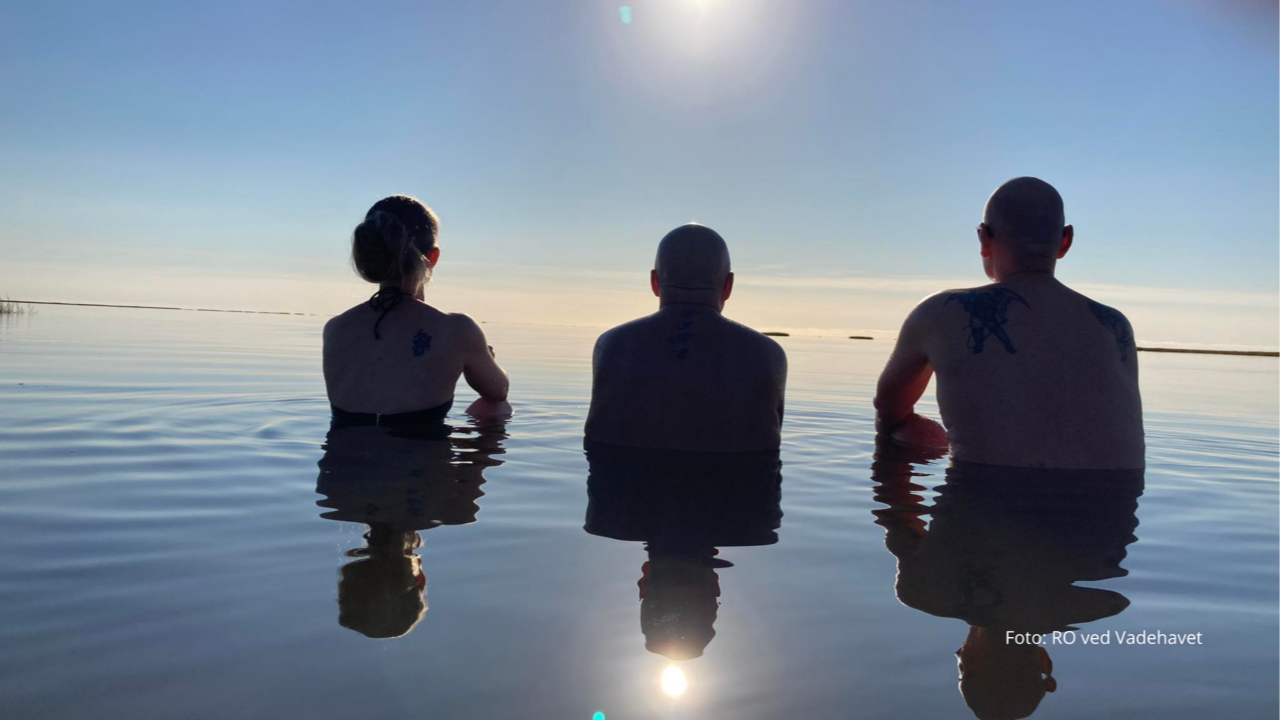 Ro ved Vadehavet