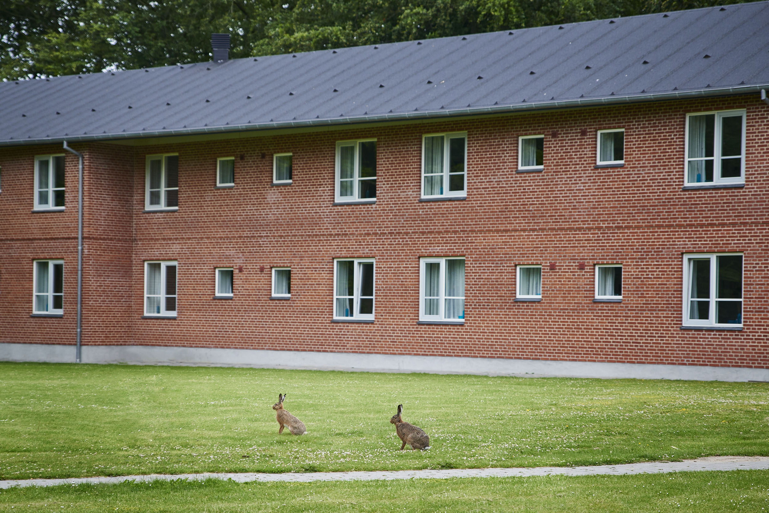 Danhostel Esbjerg