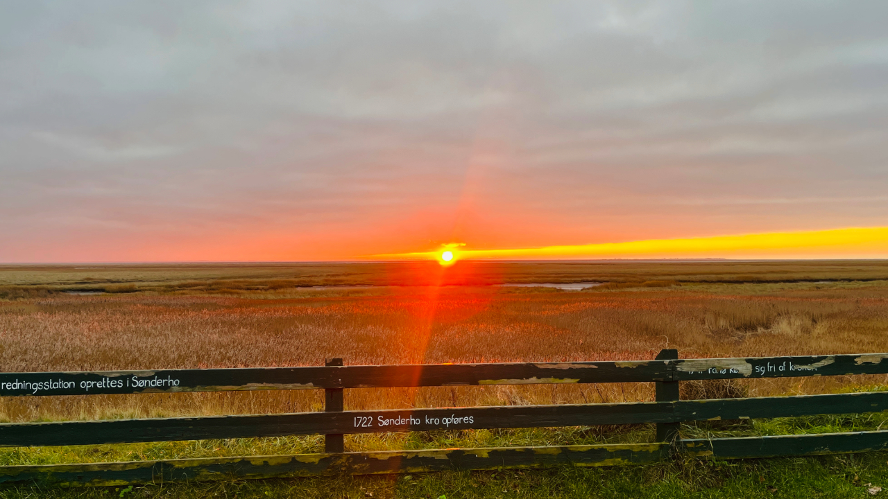 Fonden Gamle Sønderho