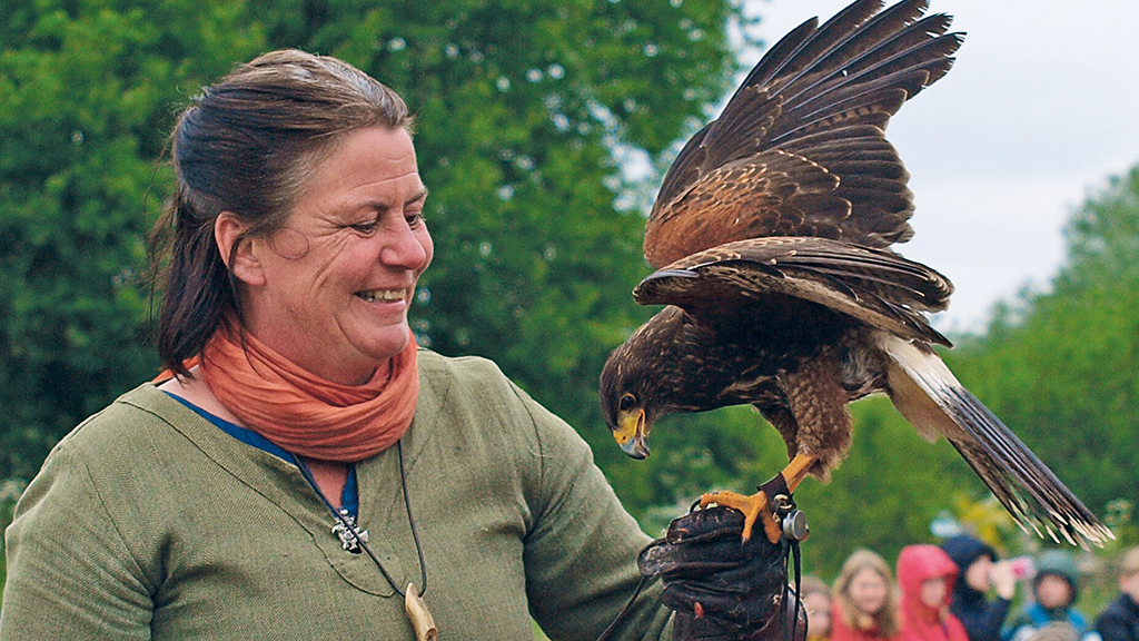 Falknershow bei den Wikingern